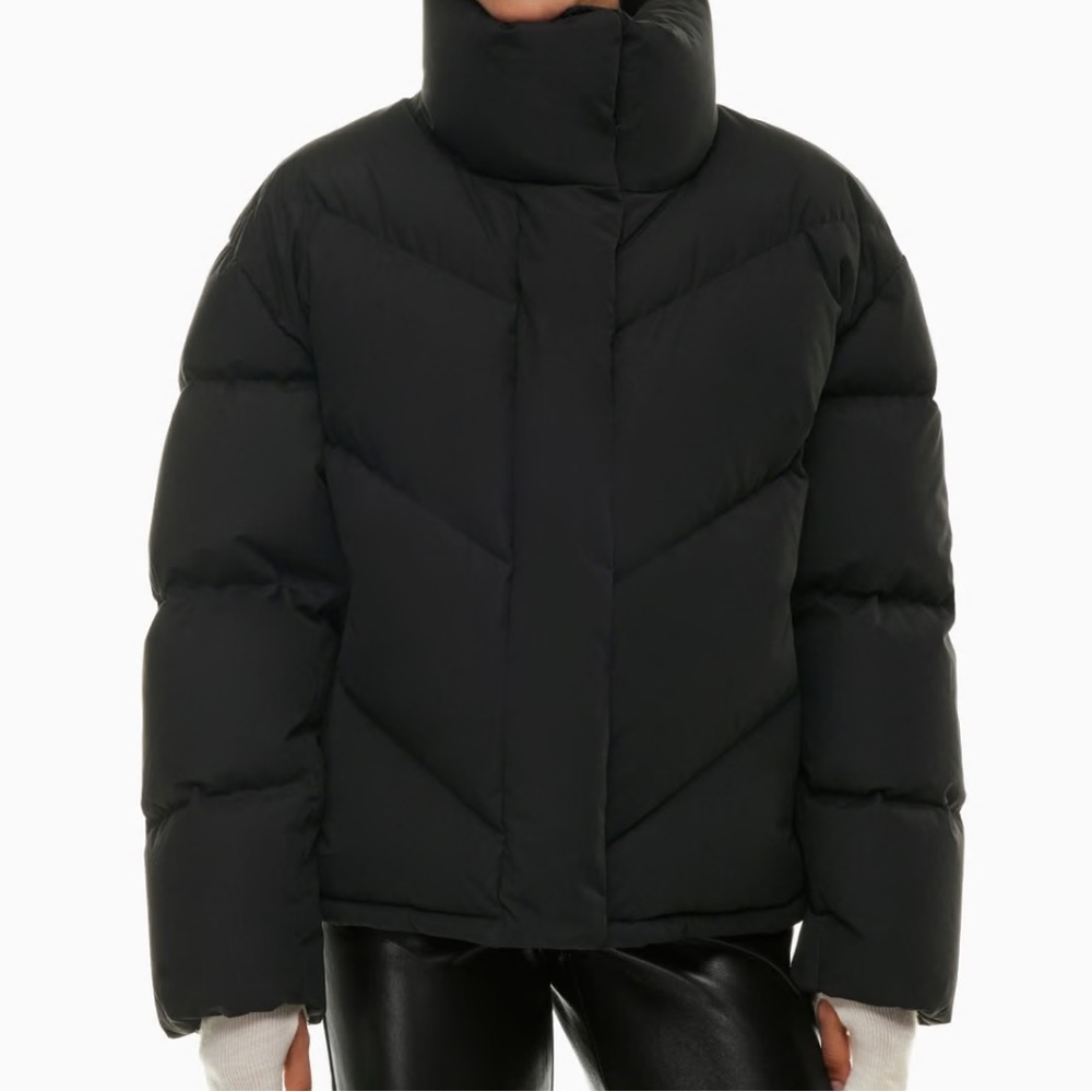 Aritzia Wilfred The Cloud Puff Winter Down Coat